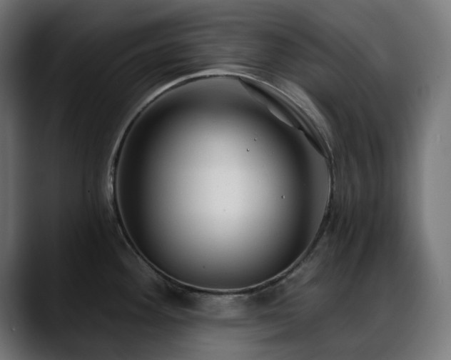 X0000088611292200705251213