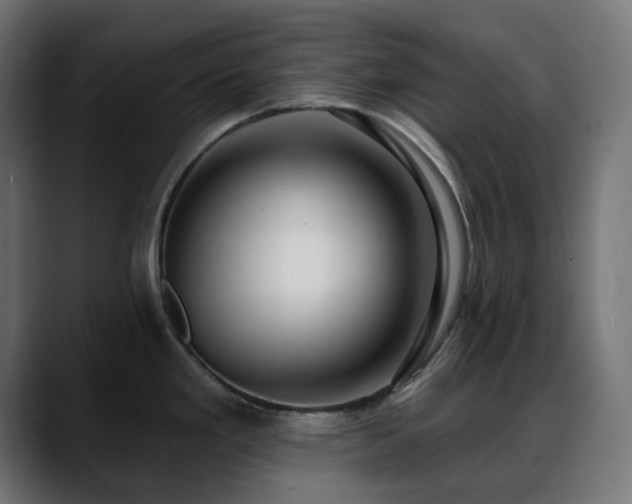 X0000088611293200705251213