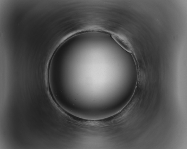 X0000088611295200705251213