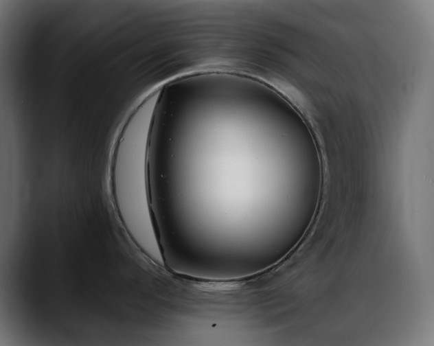 X0000088611296200705251213