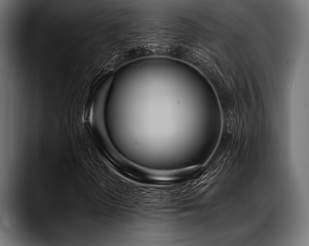 X0000088611298200705251212