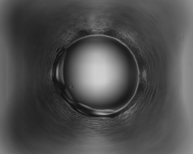 X0000088611300200705251212