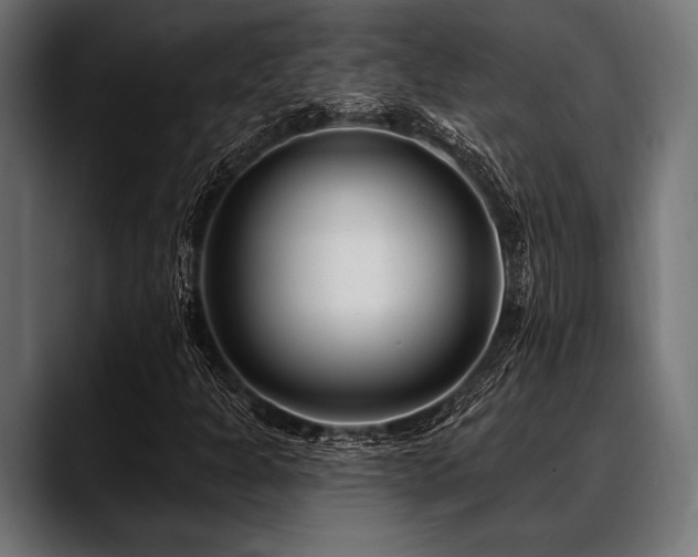 X0000088611301200705251212