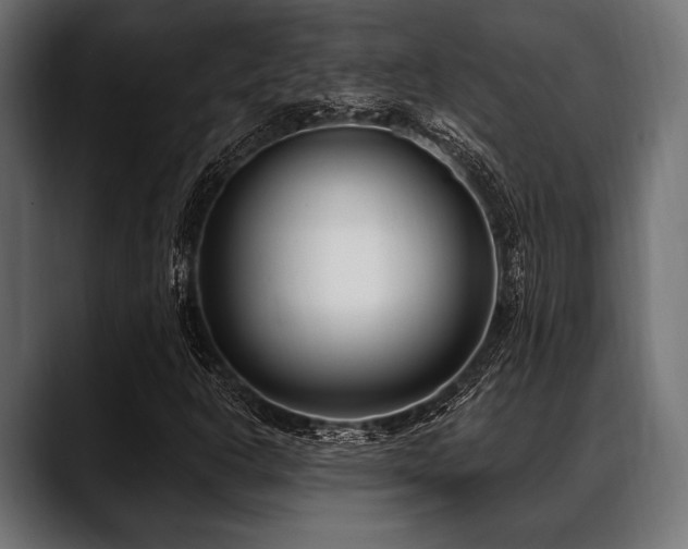 X0000088611302200705251212