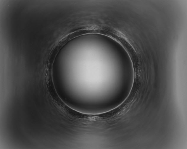 X0000088611304200705251212