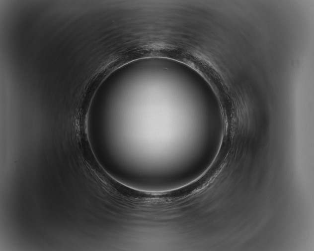 X0000088611305200705251212