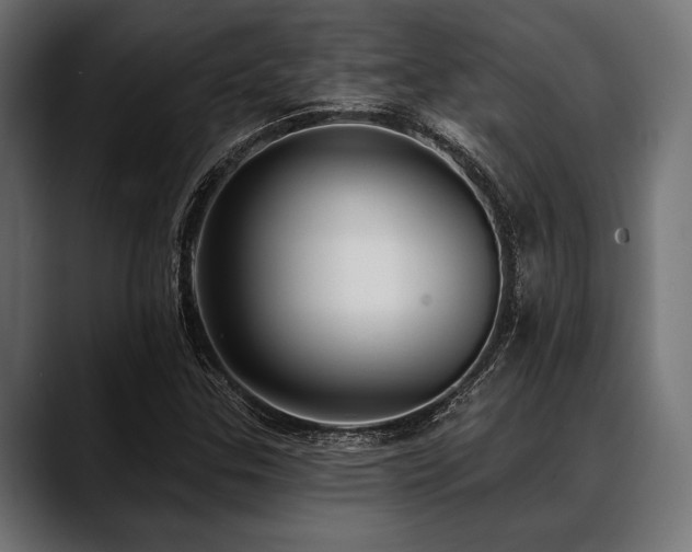 X0000088611307200705251212