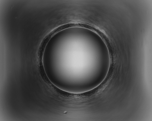 X0000088611311200705251212