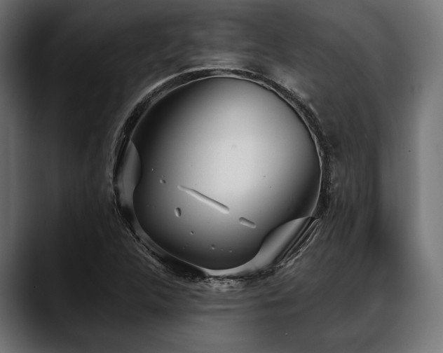 X0000088611312200705251212