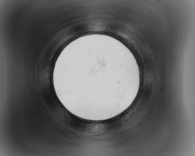 X0000088611314200705251212