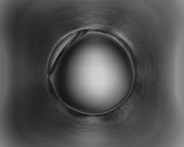 X0000088611316200705251212