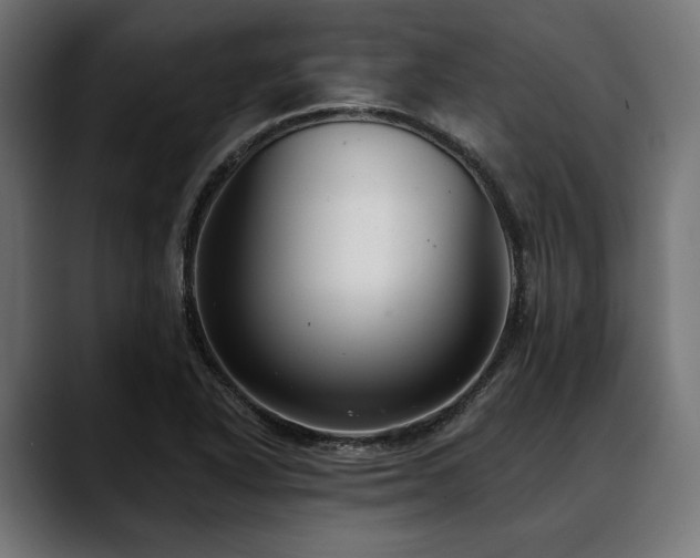 X0000088611318200705251212