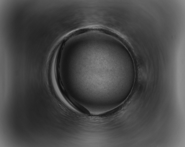 X0000088611319200705251212