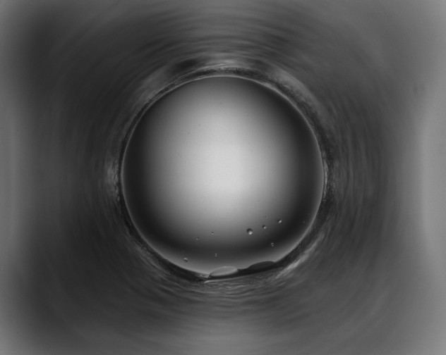 X0000088611321200705251212