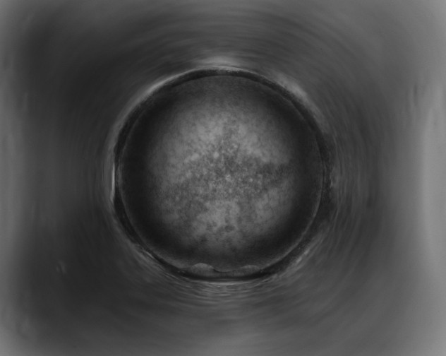 X0000088611323200705251212