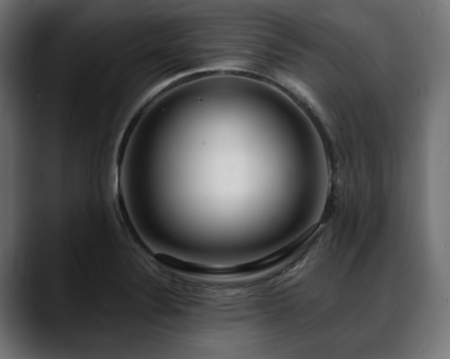 X0000088611324200705251212