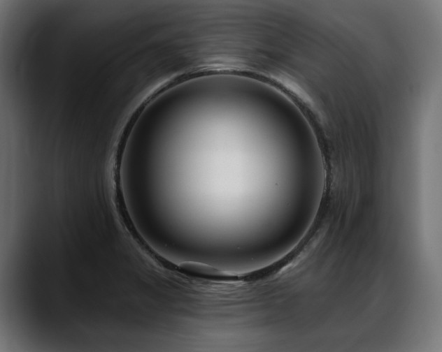 X0000088611325200705251212