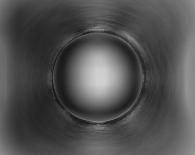 X0000088611329200705251212