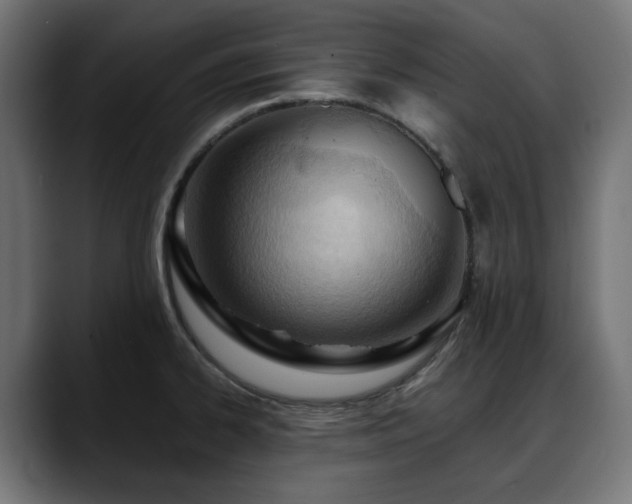 X0000088611334200705251212