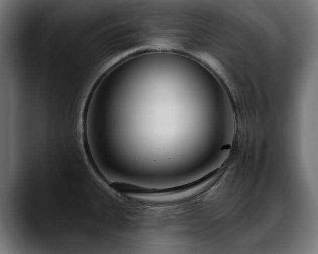 X0000088611335200705251212