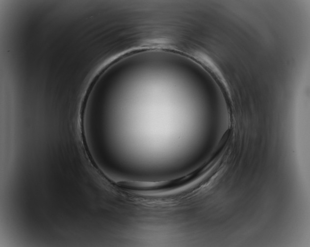 X0000088611336200705251212