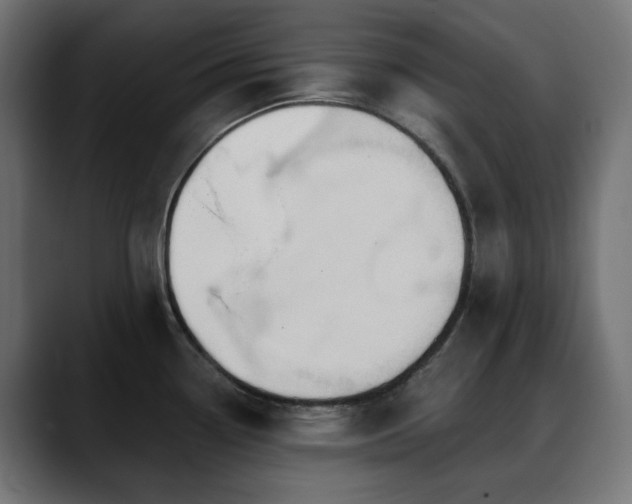 X0000088611338200705251212