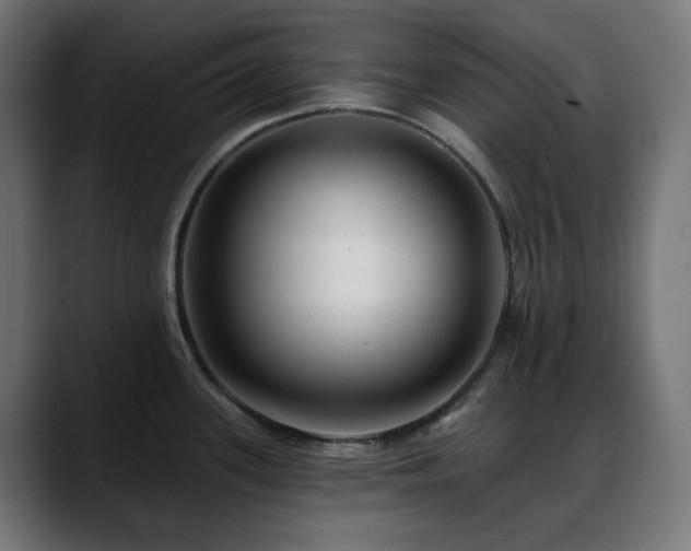 X0000088611339200705251212