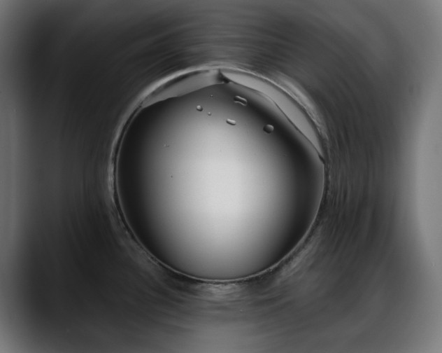 X0000088611340200705251212