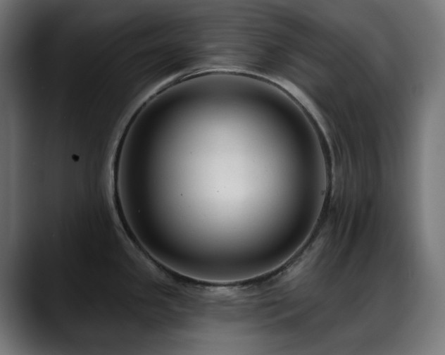 X0000088611341200705251212