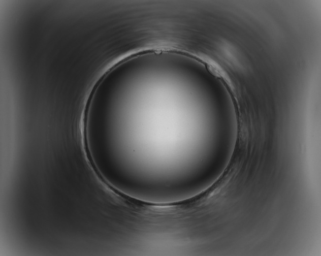 X0000088611343200705251212