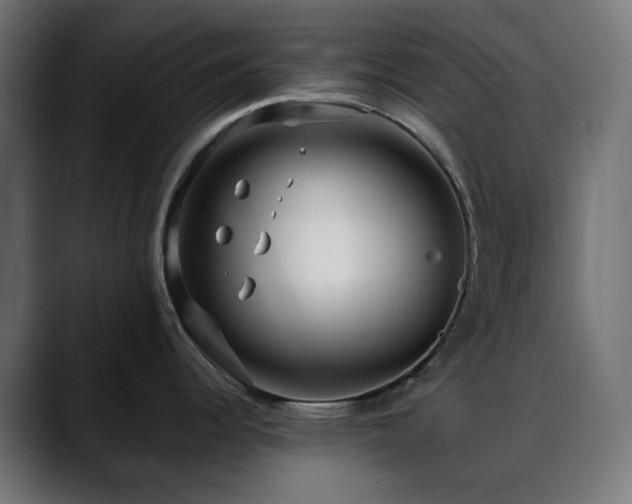 X0000088611344200705251213