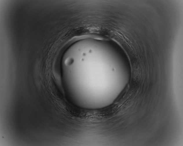 X0000088611345200705251212