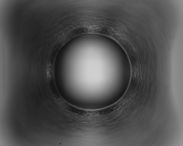 X0000088611346200705251212