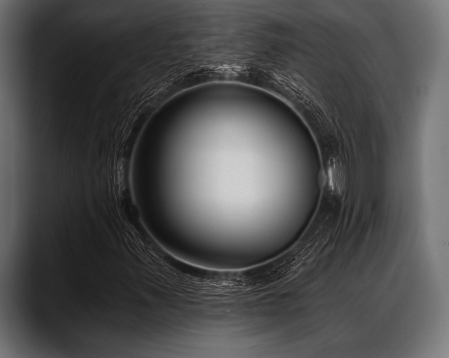 X0000088611347200705251212