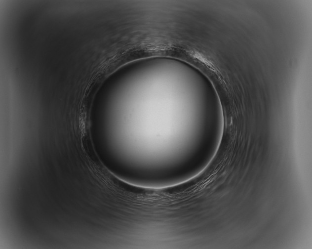 X0000088611348200705251212