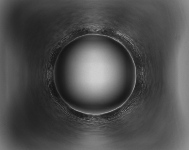 X0000088611349200705251212