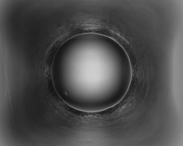 X0000088611351200705251212