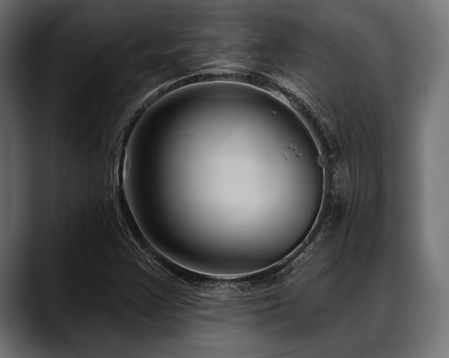 X0000088611355200705251212