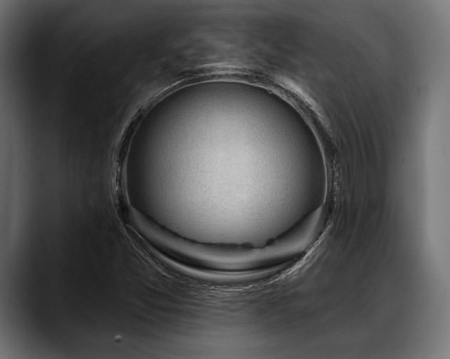 X0000088611357200705251212