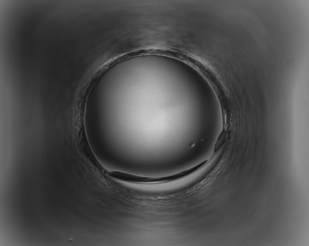 X0000088611359200705251212