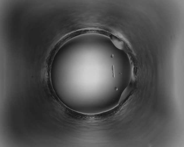 X0000088611360200705251212