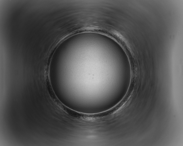 X0000088611361200705251212