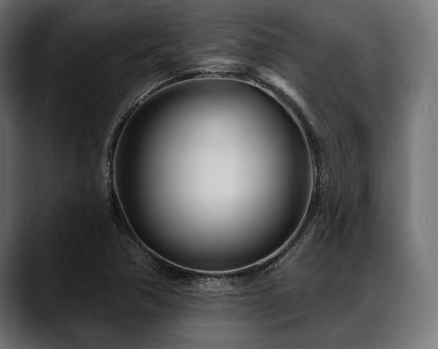 X0000088611362200705251212