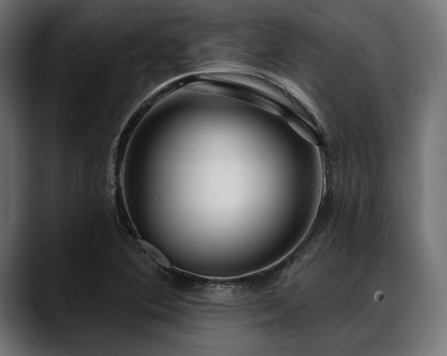 X0000088611364200705251212