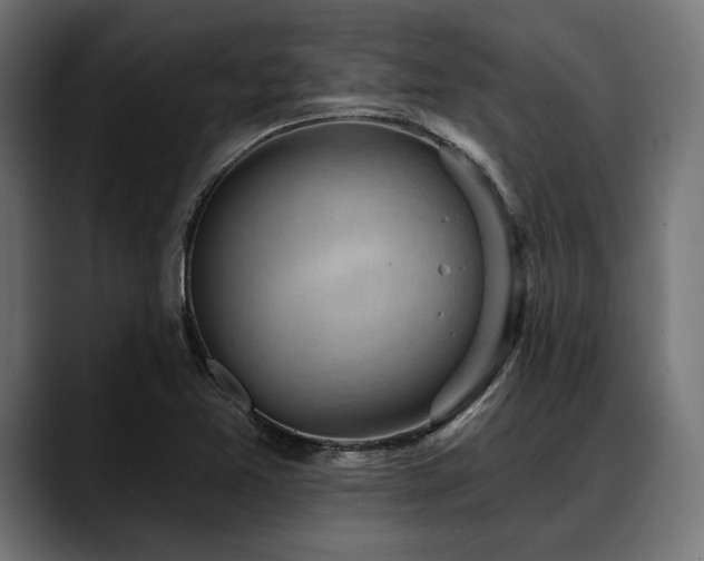 X0000088611365200705251212