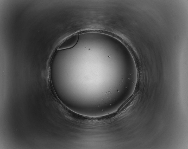 X0000088611366200705251212