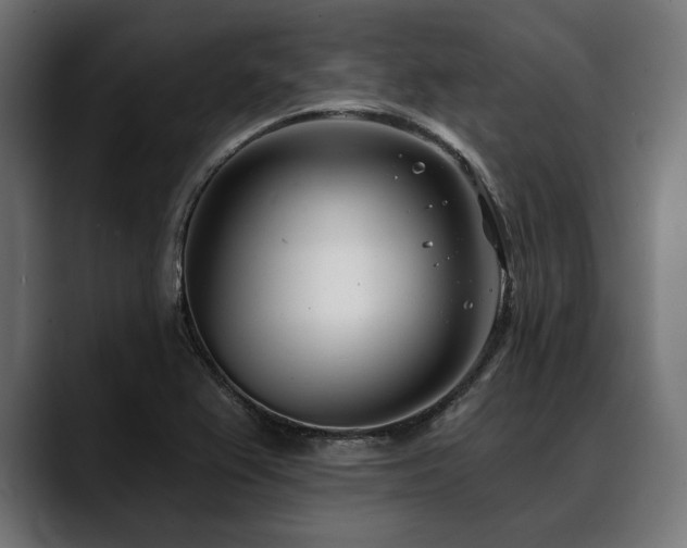 X0000088611367200705251212