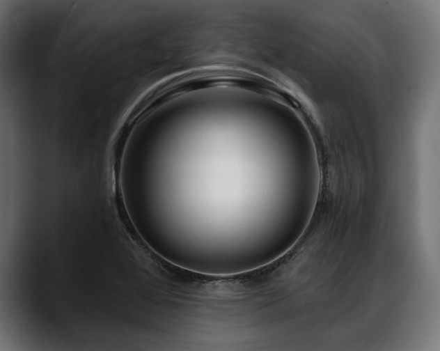 X0000088611368200705251212