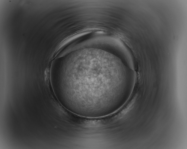 X0000088611369200705251212