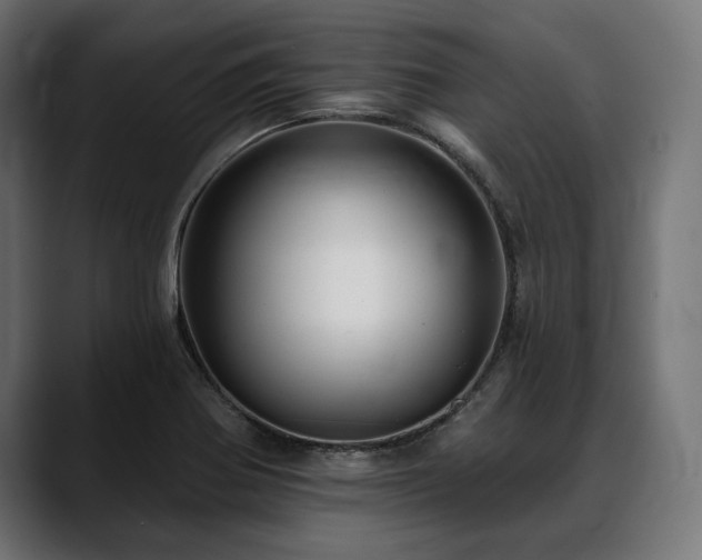 X0000088611370200705251212